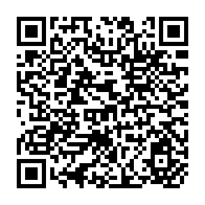 QR Code for The Mass Media