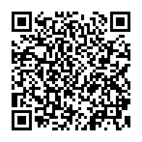 QR Code for Leading Issues in Economic Development