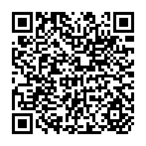 QR Code for Theory and Measurement in Sociology