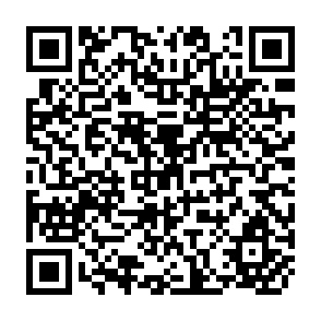 QR Code for Land Law