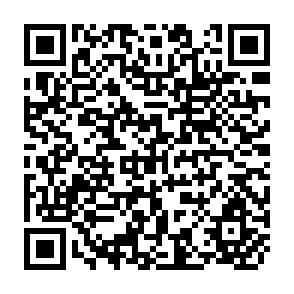 QR Code for Poverty Inequality & Class Structure