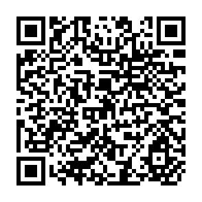 QR Code for The Management of Curriculum Development