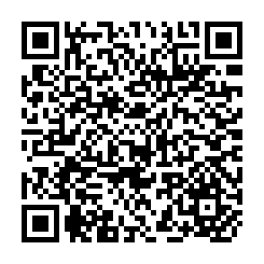 QR Code for The Practical Librarian