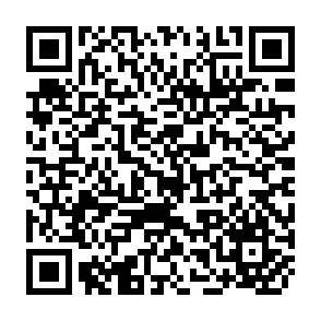 QR Code for Sociological Analysis