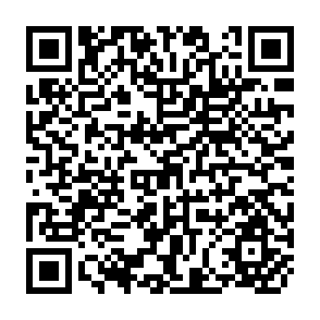 QR Code for Demographic Analysis