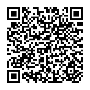 QR Code for The Economics of Poverty