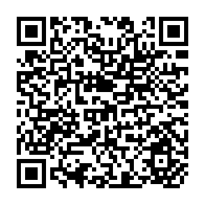 QR Code for Beyond Contract: Work, Power and Trust Relations