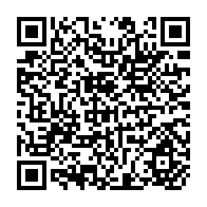 QR Code for Anthropology and History