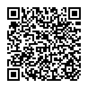 QR Code for Studies in Development Planning