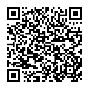 QR Code for Essays in the Theory of Society
