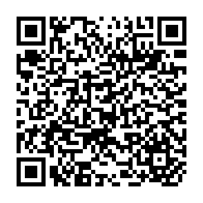 QR Code for The Social Analysis of Class Structure