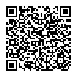 QR Code for Demographic Analysis