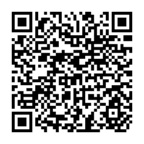QR Code for The Plitics of Modernization