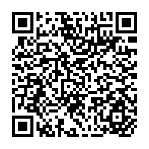 QR Code for Animal Production in Bihar