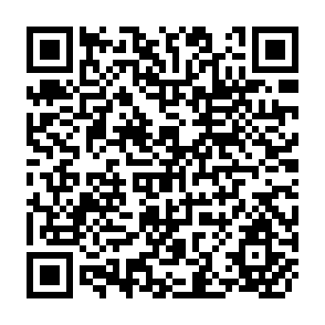 QR Code for Employment Policies in Developing Countries
