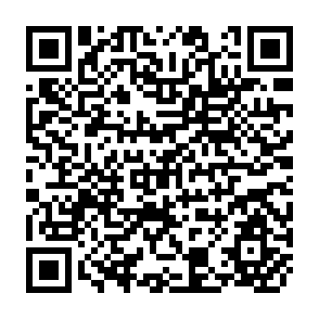 QR Code for Personnel Planning and Occupational Choice