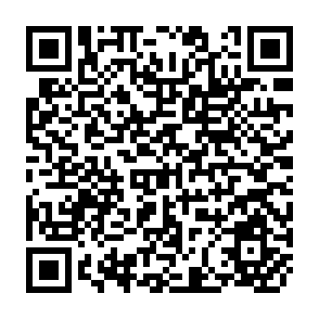 QR Code for Organising for Social Change