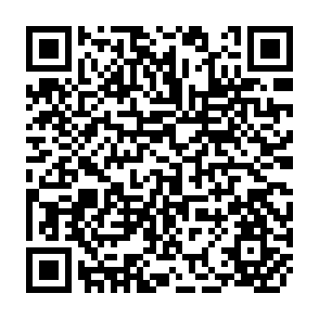 QR Code for Social theory and the family