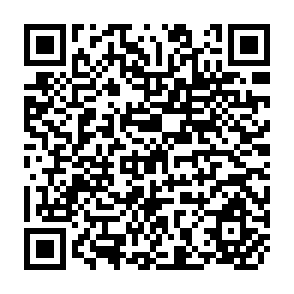 QR Code for Environment and Development