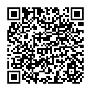 QR Code for Milk and Milk Products in Human Nutrition