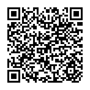 QR Code for International Migration in Less Developed Countries A survey Of the Litreture