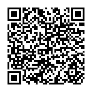 QR Code for Taxation and the Urban Poor in Developing Countries