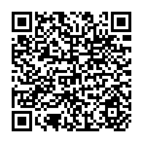 QR Code for Provisional indicative world plan for agricultural development
