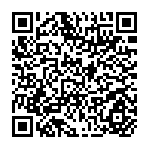 QR Code for Agricultural Loan Repayment Problems