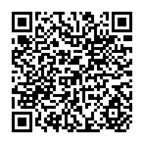 QR Code for Coconut Cultivation