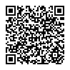 QR Code for Land reform and productivity: The maxican case analysis of census data