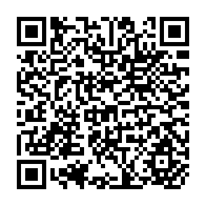 QR Code for Professional And Technical Information For Population Programs