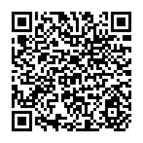 QR Code for Employment, Efficiency and Income in the Rich Processing Industry of Sierra Leone