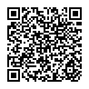 QR Code for The Sociology of Social Problems