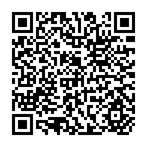 QR Code for Demographic Estimation for Developing Societies