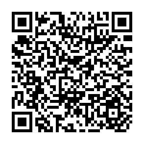 QR Code for Report on the FAO/DSE Planning Meeting on Rural Market Centre Development in Asia