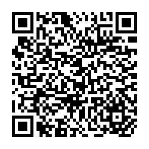 QR Code for Theories of Society
