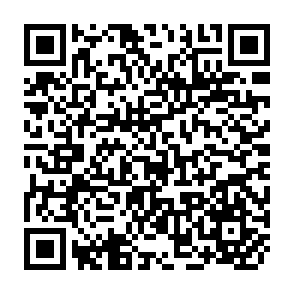 QR Code for Theories of Society