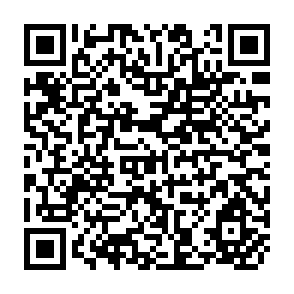 QR Code for Demography: Principles and Methods