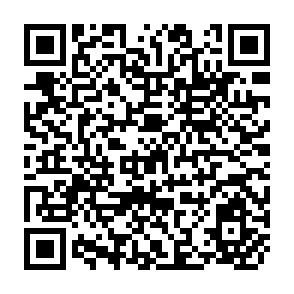 QR Code for Topics in Applied Macroeconomics