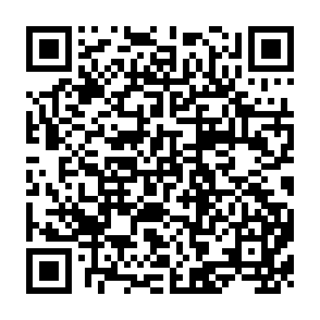 QR Code for Topics in Applied Macroeconomics