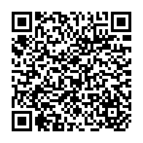 QR Code for Foundations of Interpersonal Attraction
