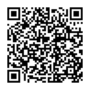 QR Code for Economic Heresies