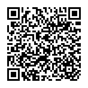 QR Code for Acquisitions from the third world