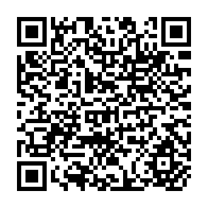 QR Code for Essays in the Theory of Economic Growth