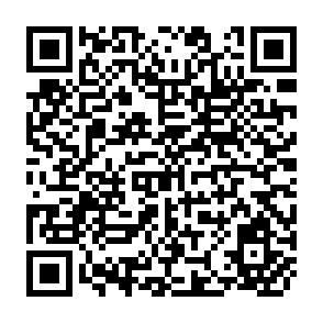 QR Code for Marx and Modern Social Theory