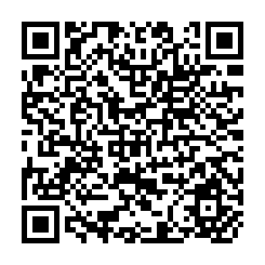 QR Code for Development and Underdevelopment : A Marxist Analysis