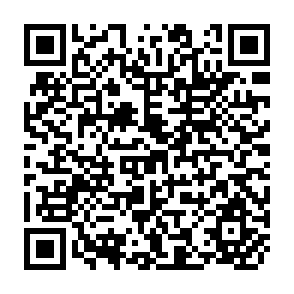 QR Code for Development and underdevelopment A marxist analysis