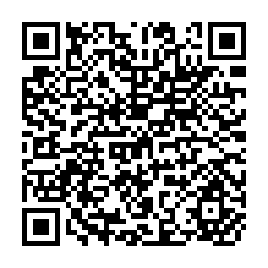 QR Code for An Essay on Marxian Economics