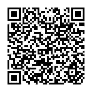 QR Code for The Strategy of International Development