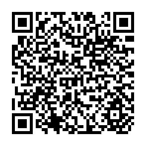 QR Code for The strategy of international development